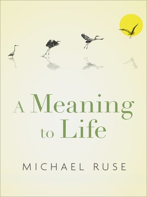 cover image of A Meaning to Life